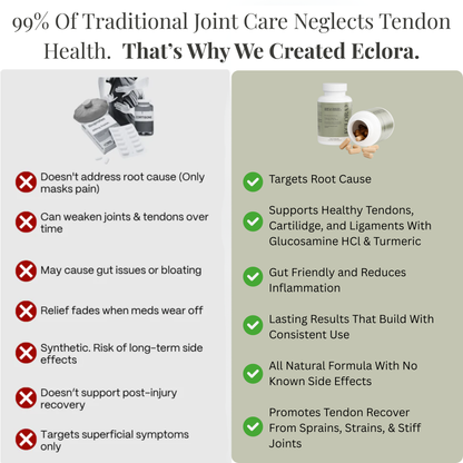 Eclora Joint & Tendon Health Formula